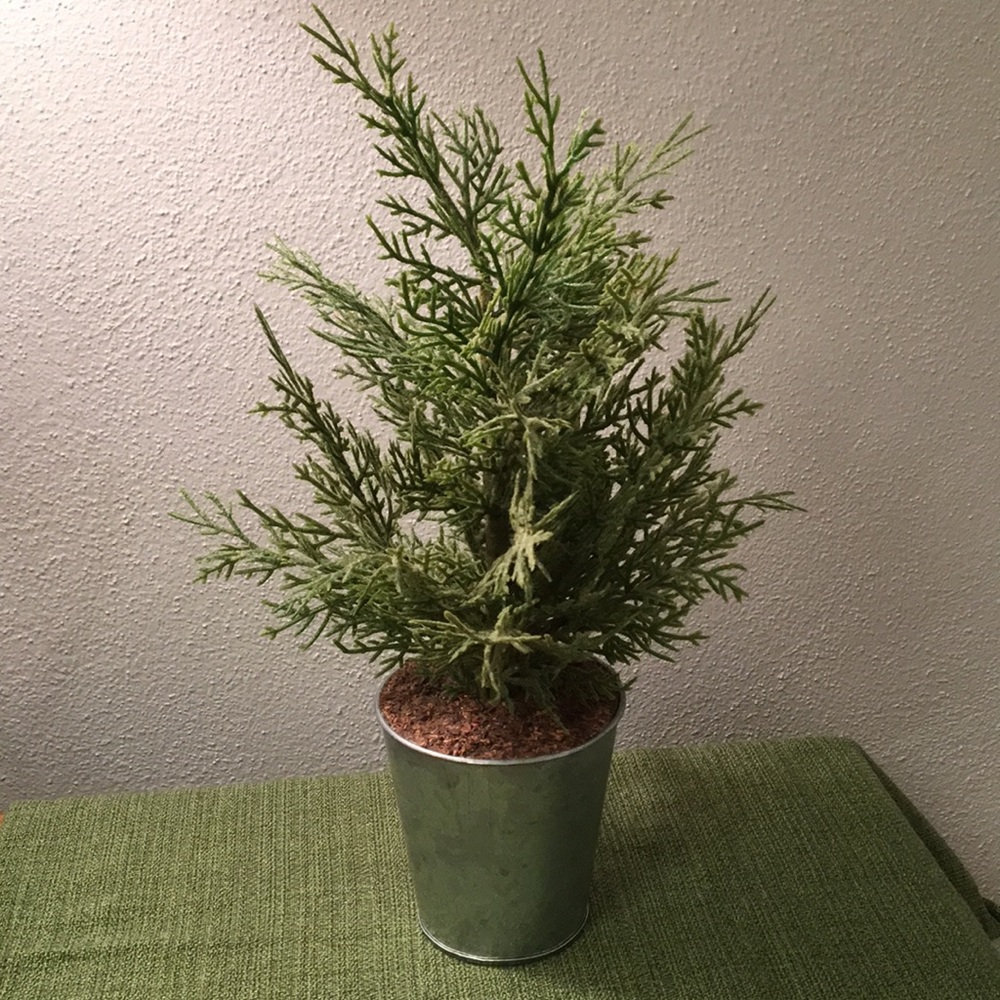 Pottery Barn Faux Potted Juniper Plant Evergreen